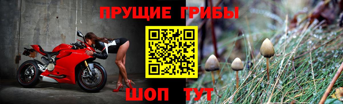 Киров  Галлюциногенные грибы MAGIC MUSHROOMS  Вход с VPN 